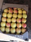продажа яблок оптом из Армении