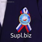 Значок закатной "Выпускник" корабль