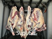 Замороженная и охлажденная мясо говядины