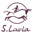 892 54 20 Сумка женская