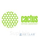 Cactus Чернила CS-EPT6644 для Epson L100, желтые, 100ml