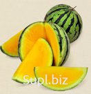 Арбуз Premium (желтый/красный) без косточек