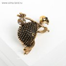 Брошь "Черепашка", цвет белый в чернёном золоте