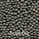 Вика