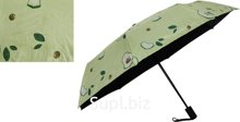 Women's automatic umbrella with fruits, assorted