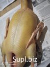 Мясо гуся муларда