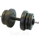 Гантель сборная Lite Weights 10 кг х 1шт