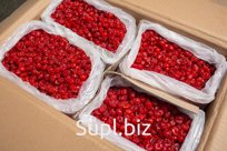 Клубника вяленая оптом по выгодной цене с доставкой по Москве и России.

Информация о товаре:
– страна-производитель: Южная Америка;
– коробка 12,5 кг;
– цена …