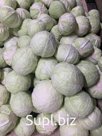 Капуста «Лексикон»