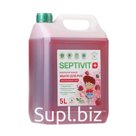 Жидкое мыло SEPTIVIT "Малиновый пай", 5 л