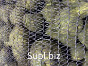 В продаже картофель от оптового поставщика ИП Подлеснов Н.М.

Ранний сорт Коломба является гибридом сортов Агата и Каррера. Данный картофель известен своей выс…